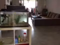 巴西立有女搭房出租