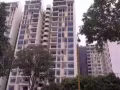 后港新公寓（PARC VERA）主人房/普通房/工人房出租无中介无屋主
