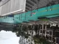 宏茂桥近地铁站超大公寓普通房出租