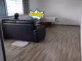 （無中介）Blk602 Yishun st61 尋找1位男搭房 & 1位女搭房