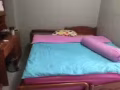 淡濱尼（tampines) 大牌874 主人房  出租 人少 有冷氣 可報地址