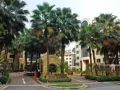 西海岸Westcove condo一间普通房，即日起可入住。