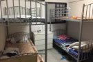 宏茂桥大牌226G 招1个女搭房 屋主给报地址