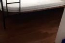 文庆有公寓普通房出租