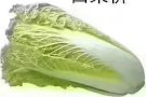 男女搭房 夫妻房 金文泰西海岸大牌704 班丹花园大牌403 可报地址$200