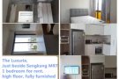 Sengkang地铁旁，一房式小公寓出租$1900 无中介