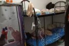 义顺大牌235.男生床位出租，合法，可申报HDB自己居住的地址。