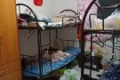 义顺21街大牌235可申报制造业地址hdb合法，可以拍照和查看，可以煮，电器家私