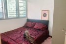 花拉公园地铁站 NAFA KAPALAN SMU 学生看过来 高级公寓普通房主人