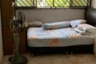 Bukit panjang 大牌246. Bangkit rd  #09-292
