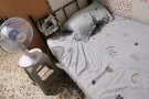 马里士他黄埔HDB 双人间 招女搭房1人 $350