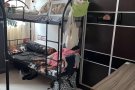 Boonlay Avenue blk217B 女搭房