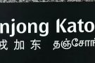 加东私人排屋，有女床位出租。