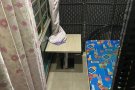 剩一个床位男