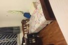 四美地铁站高级女床位出租