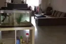 巴西立有女搭房出租