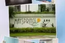 地铁站对面美馨园maysprings高级泳池公寓主人房出租，水电网全包，随时入住