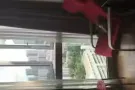 近地铁bukit batok 和 hillview 地铁站公寓普通房760$