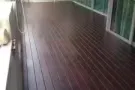(实龙岗)五星豪华公寓 The Minton 大主人房出租 