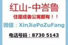 新加坡全岛整套房出租（4+1，3+1，2+1）快来询问！
