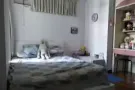 公寓普通房