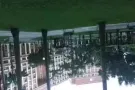 淡滨泥45街 大牌497。