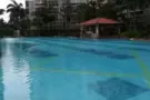 后港地铁站附近豪华公寓主人房普通房出租