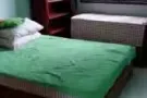 湖畔地铁站主人房短期出租