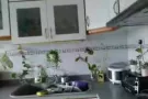 Tampinese cuort 温馨漂亮温馨主人房出租