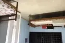 淡滨尼大牌232普通房出租