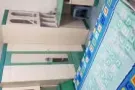 海军部主人房普通房出租