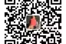 novena mrt 附近公寓，出租普通房双人间，夫妻房，$1200，无屋主，