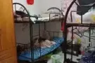 义顺21街大牌235可申报制造业地址hdb合法，可以拍照和查看，可以煮，电器家私