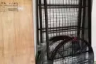 巴西立 单人铁架床转让 
