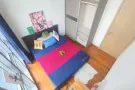 紫线-花拉公园，文庆，波东巴西，兀里，高文，超多优质房源，物美价廉，速度抢！
