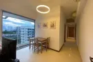 多美歌/波动巴西 公寓/别墅 主人房/普通房 专人管理随时入住 欢迎学生专业人士