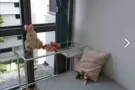 阿裕尼地铁口 经济小单间 可报地址 无屋主 无中介费 可煮 免费带看