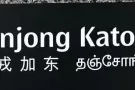 加东私人排屋有普通房出租，可以报任何行业地址。