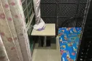 剩一个床位男