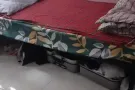 靠近文理先驱地铁站，大牌613  男床位单人床，可煮，随时入住