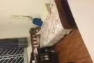 四美地铁站高级女床位出租
