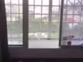 牛车水主人房出租