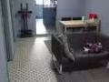 女皇鎮普通房一間，女生環境，八月入住