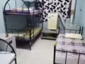 938特大普通房出租