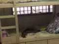 招女搭房一位