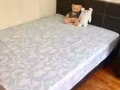 亚龙40相