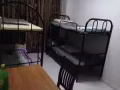 淡宾尼33街大牌304招男搭房