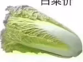 男女搭房 夫妻房 金文泰西海岸大牌704 班丹花园大牌403 可报地址$200