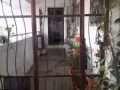 單間招租 無中介