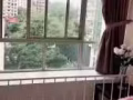 馬里士他精裝修主人房出租$1600全包靠近Shaw商場無屋主